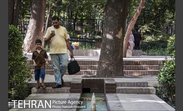 بوستان باغ ایرانی 26