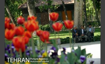 لاله های بهاری پارک شهر 7