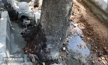 نشست خبری شهردار منطقه 1 3