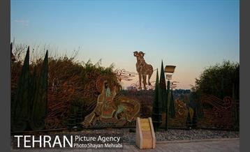 پاییز اراضی عباس آباد 45