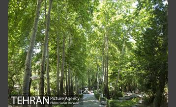 بوستان جمشیدیه‎ 18