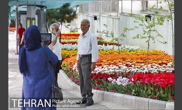 پیاده راه لاله برای مادران 1