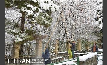 طبیعت برفی شمال تهران 10