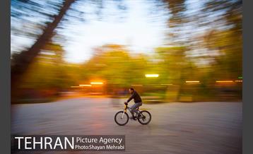 طبیعت پاییزی پارک شهر 9