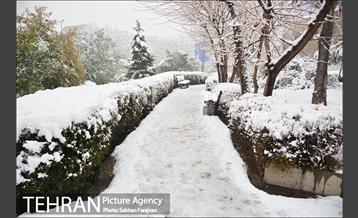 بارش برف زمستانی در تهران-2 30