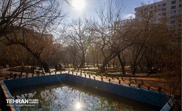 باغ گلاریس 45