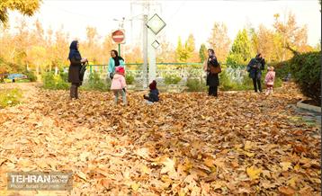 گذرگاه های پاییزی پایتخت - منطقه 13