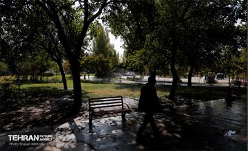 بوستان قائم 38