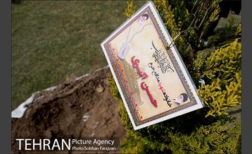 کاشت نهال در بوستان ولایت  39