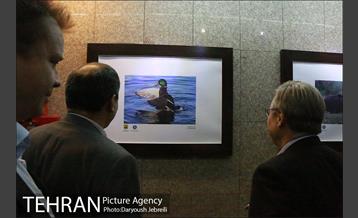 افتتاحیه نمایشگاه عکس چهار فصل کشور فنلاند 21