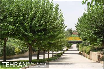 بوستان پردیس بانوان 23