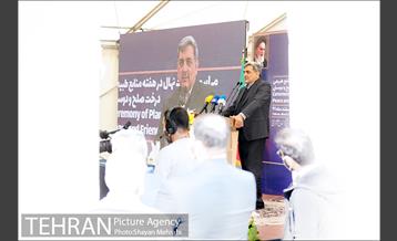 مراسم کاشت درخت صلح و دوستی 19