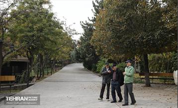 طبیعت پاییزی باغ راه فدک تهران 15