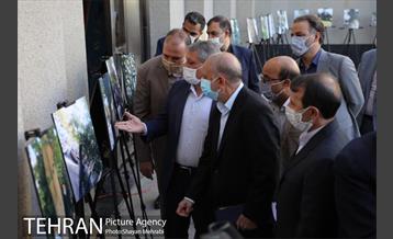 آیین نکوداشت درختان بالای صد سال تهران 11