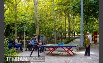 پاییز بوستان لاله 6