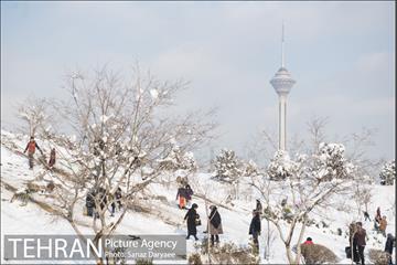 جشنواره مجسمه های برفی 25
