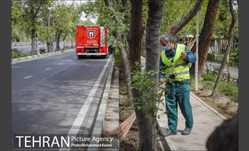 بازدید شهردار منطقه 16 از بوستان های شاخص منطقه در روز طبیعت 7