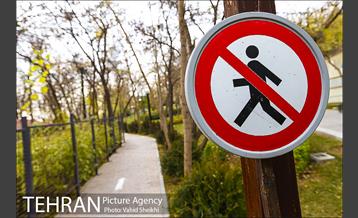 باغ راه فدک 10