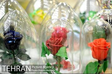 نمایشگاه گل و گیاه در بوستان گفتگو 41