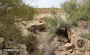 مهار زلزله خاموش 24