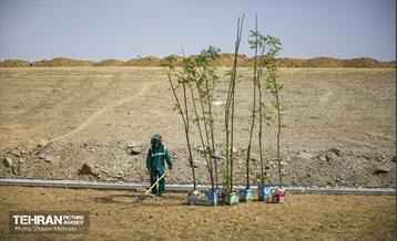به وقت خدمت؛ بزرگراه شهید بروجردی 39