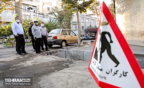 پویش سه شنبه های بدون خودرو در منطقه 8