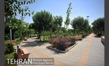 بوستان الغدیر 11