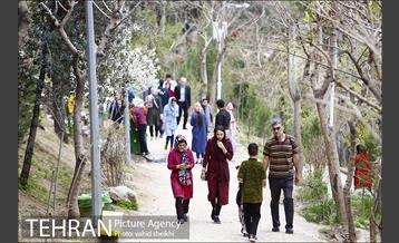 بوستان طالقانی 20