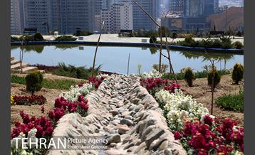 باغ گل لاله های ایرانی در بوستان آبشار تهران‎ 30