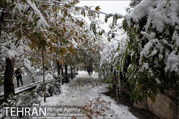 بارش اولین برف پاییزی در تهران 34