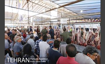 عرضه بهداشتی دام در جایگاه منطقه 2 شهرداری تهران  6