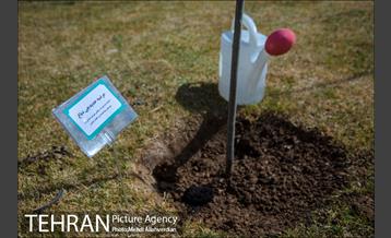 ۱۰۰ نهال به نام ۱۰۰ زن نامدار قرن 19