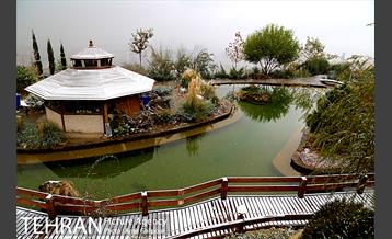 بارش پاییزی برف در ارتفاعات بوستان کوهستانی آبشار تهران‎ 27