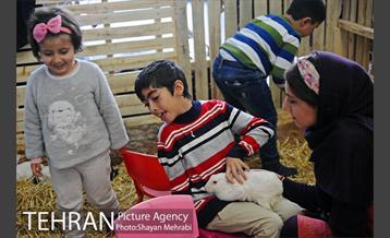 نخستین جشن بازی و سرگرمی فراگیر با حضور کودکان معلول و کودکان بدون معلولیت 39