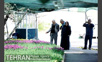 پیاده راه لاله مادران 10