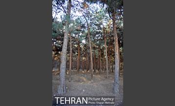 پارک جنگلی سرخه حصار 37