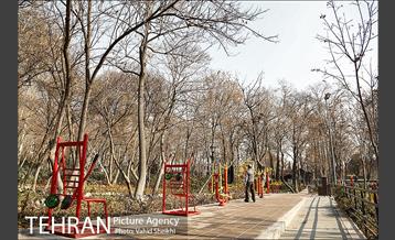 باغ ایرانی 12