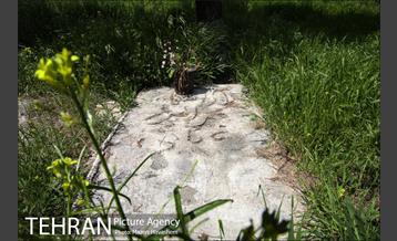 گورستان ده ونک 13