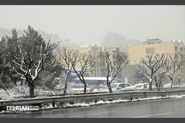 بارش برف زمستانی در منطقه ۲ 2