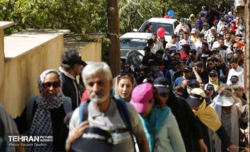 دومین جشنواره شکوفه‌های گیلاس 24