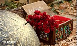 یلدا در قاب کیانشهر 37