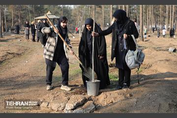 آیین کاشت ۱۰۰۰ نهال به مناسبت میلاد با سعادت حضرت علی (ع) 14