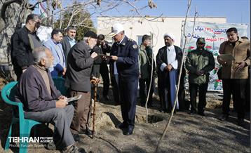 آیین کاشت 1310 نهال در منطقه 5 24