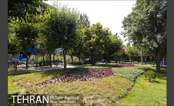 بوستان المهدی 16