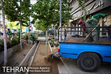 گلکاری در خیابان ولیعصر 2