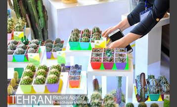 نمایشگاه بین المللی گل و گیاه 12