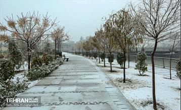 پل طبیعت سپیدپوش شد 6