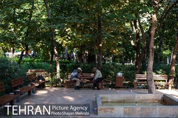 بوستان باغ ایرانی 9