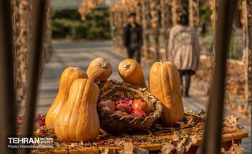 گذرگاه های پاییزی پایتخت - پارک ملت  20