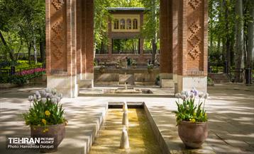 لاله های باغ ایرانی 18